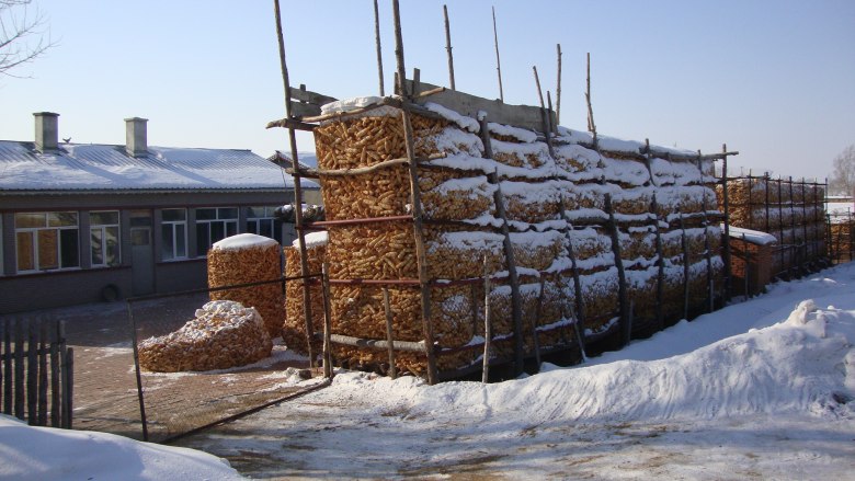 DSC09567_conew1.jpg