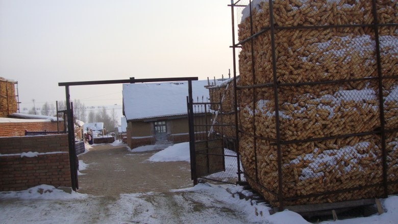 DSC09441_conew1.jpg