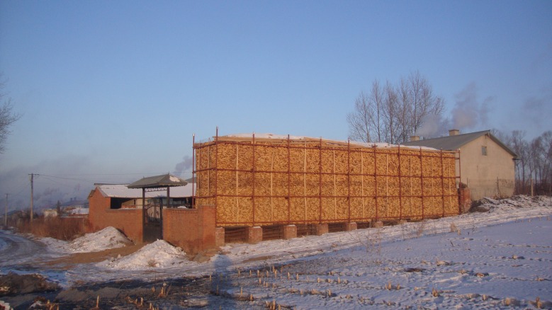 DSC03808_conew1.jpg