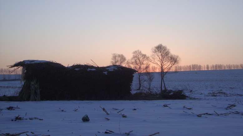 DSC03746_conew1.jpg
