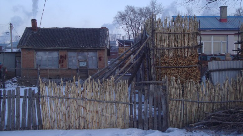 DSC03742_conew1.jpg