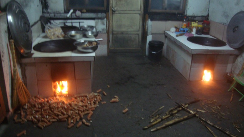 DSC03678_conew1.jpg