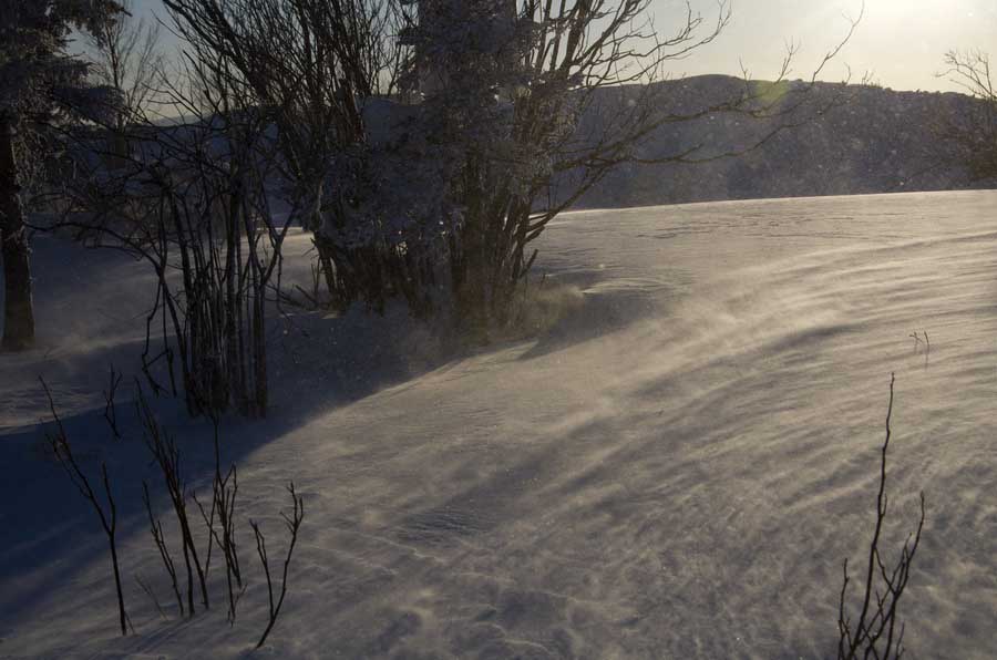 DSC_9328_С.jpg