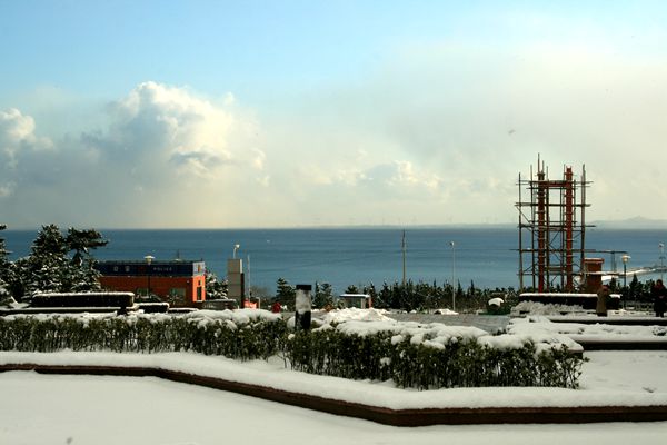 IMG_2922_.jpg