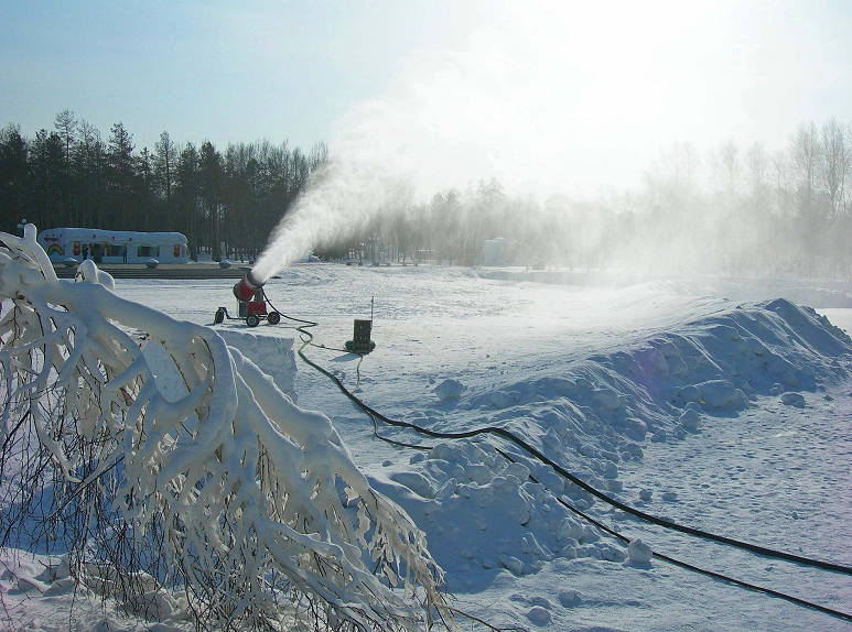 DSCN2767-3-2015.1.jpg