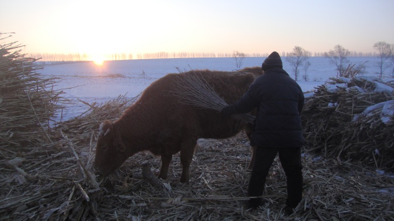 DSC03763_conew1.jpg