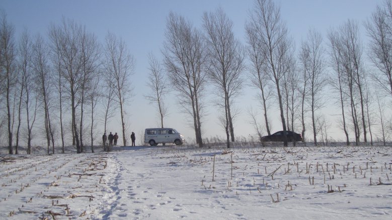 DSC03851_conew1.jpg