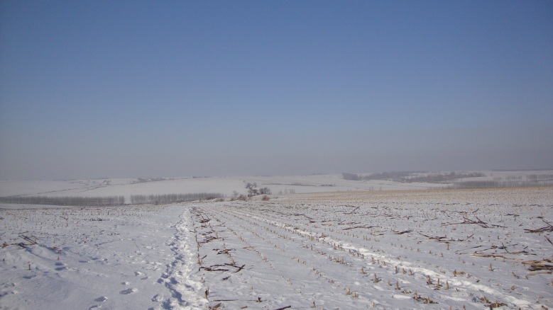DSC03852_conew1.jpg