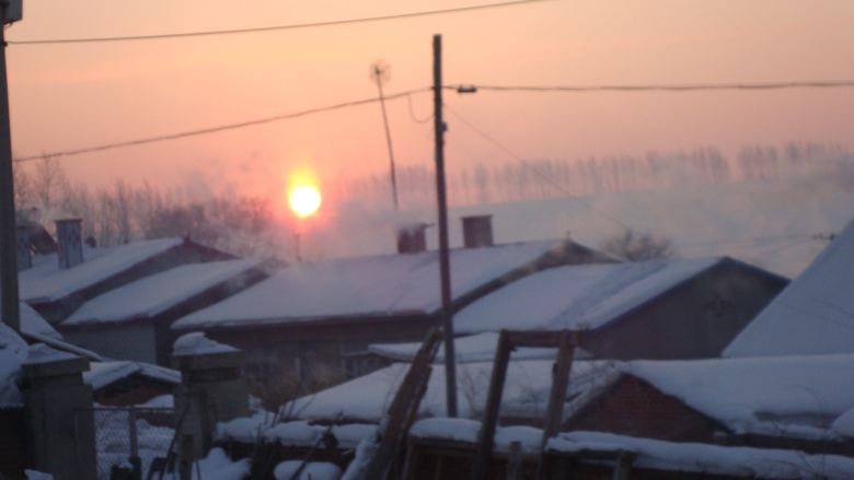 DSC09510_conew1.jpg
