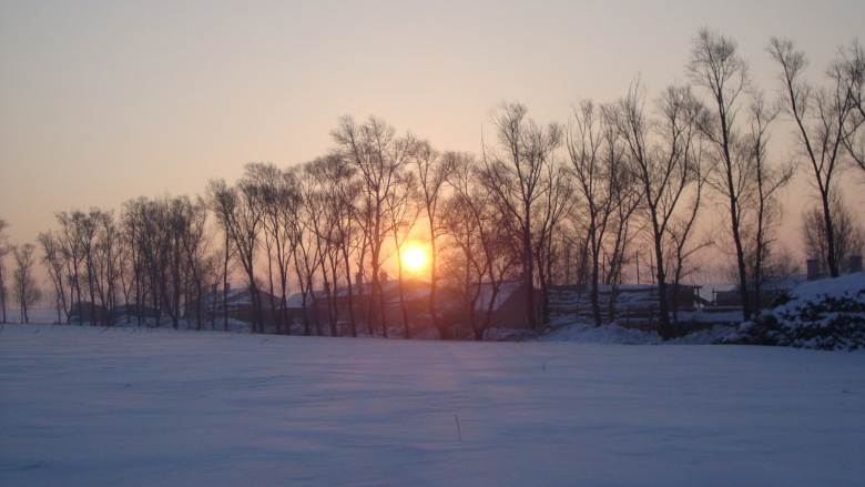 DSC09513_conew1.jpg