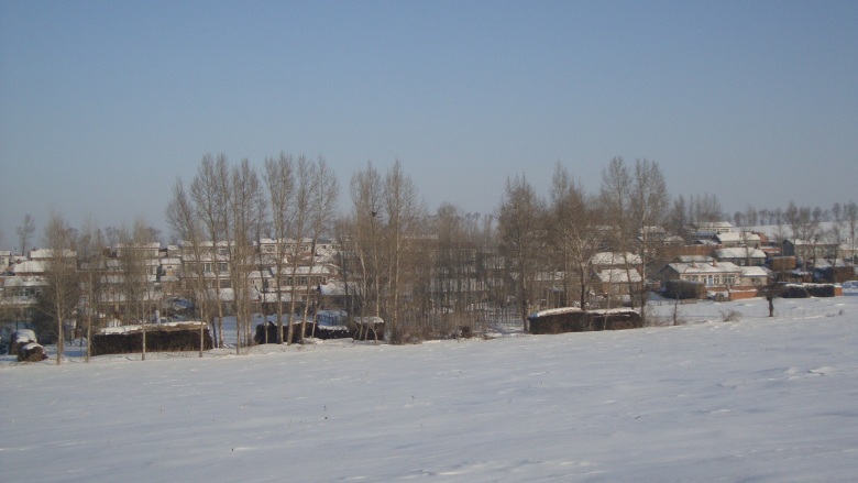 DSC09527_conew1.jpg