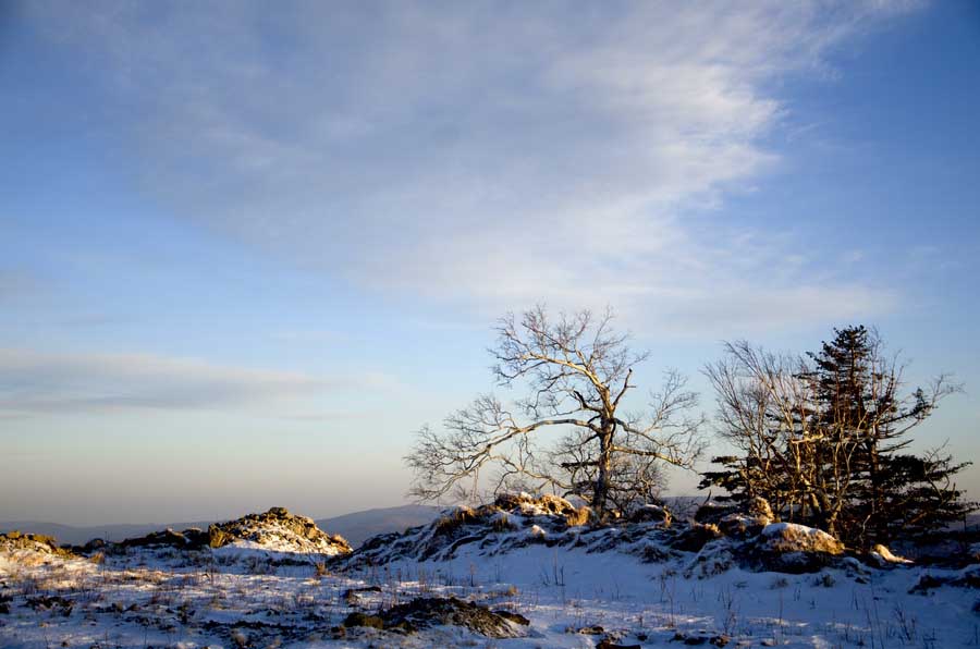 DSC_9355_С.jpg