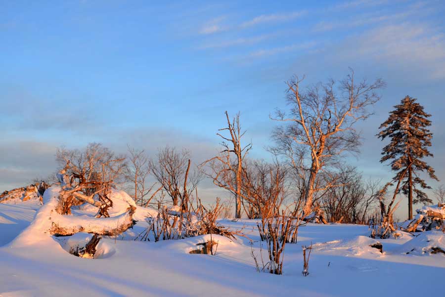DSC_7862_С.JPG