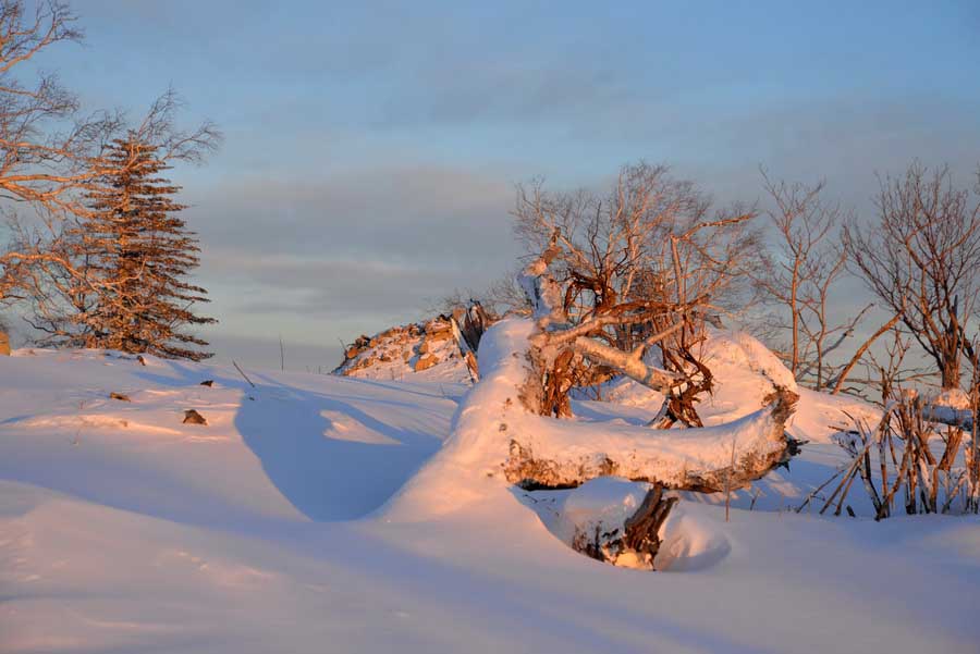 DSC_7860_С.JPG