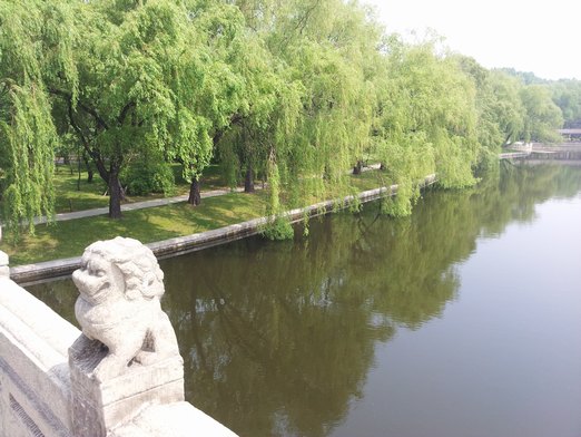 20130601_094857.jpg