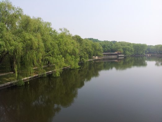 20130601_094913.jpg