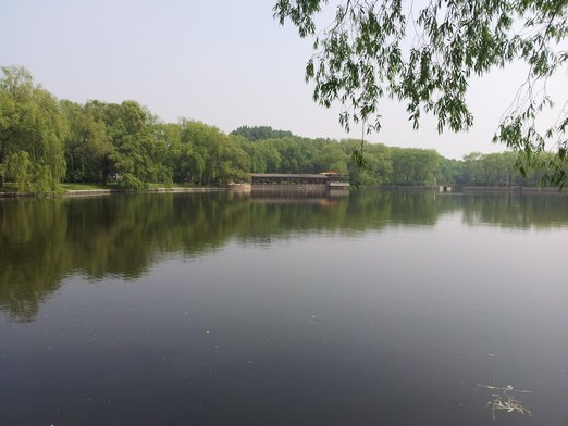 20130601_095055.jpg