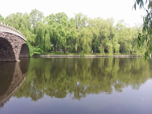 20130601_095111.jpg