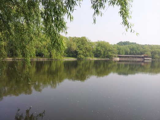 20130601_095136.jpg