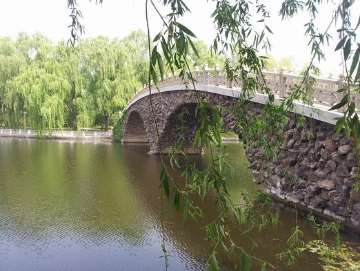 20130601_095232.jpg