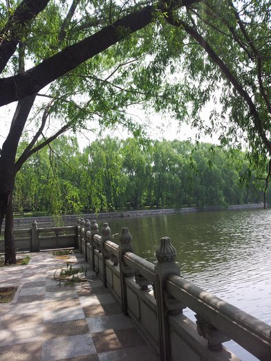 20130601_102436.jpg