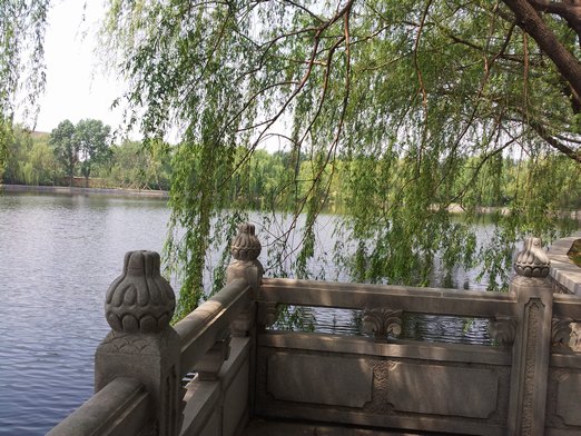 20130601_102523.jpg