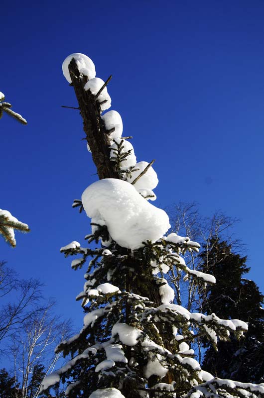 DSC_9763_С.jpg