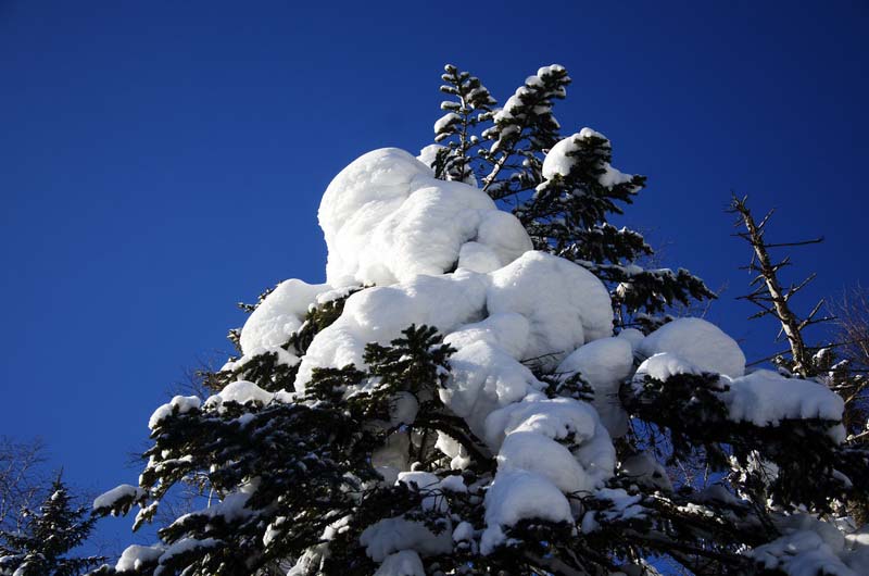 DSC_9894_С.jpg