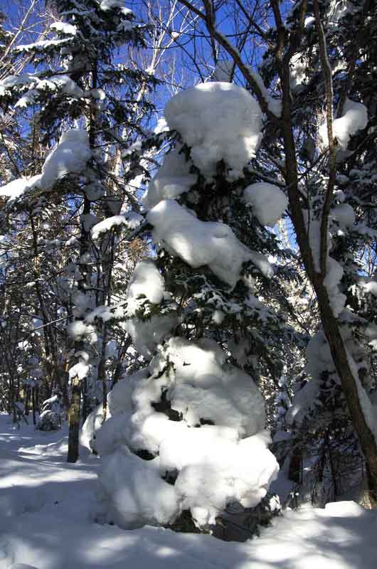 DSC_9768_С.jpg