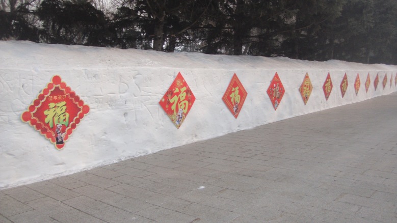 DSC03217_conew1.jpg