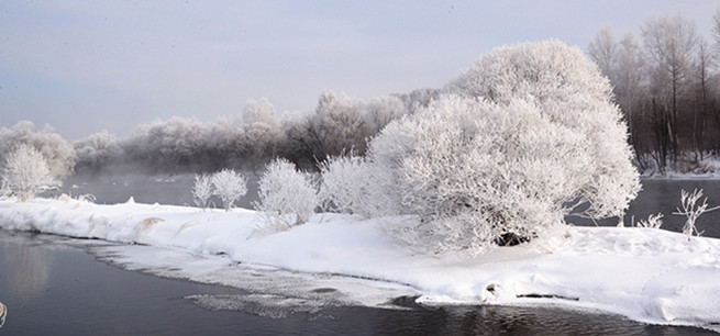 DSC_4375__.jpg