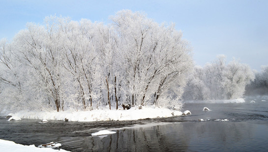 DSC_0537__.jpg