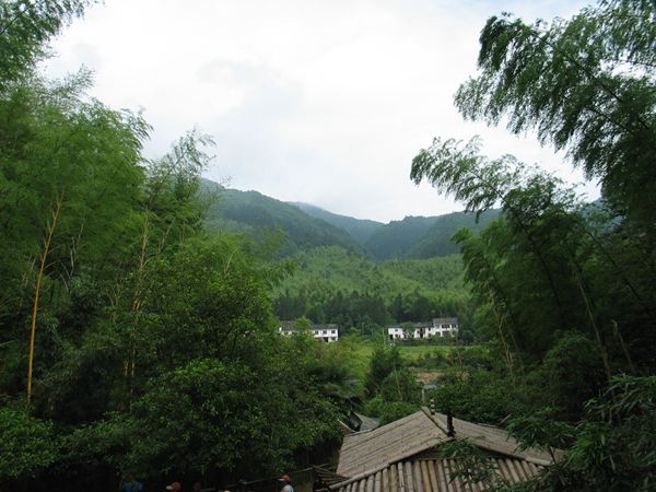 IMG_0109_.jpg