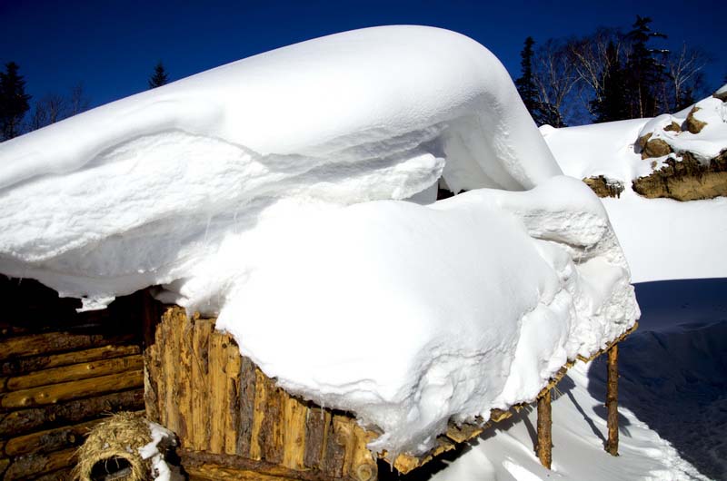 DSC_9933_С.jpg