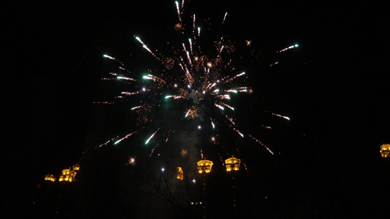 DSC04220_conew1.jpg