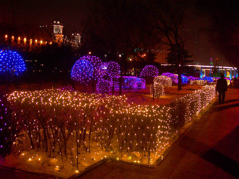 DSCN3118-3.jpg