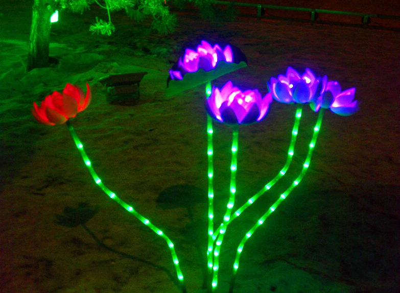 DSCN3121-3.jpg
