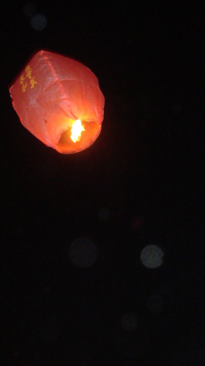 DSC04369_conew1.jpg