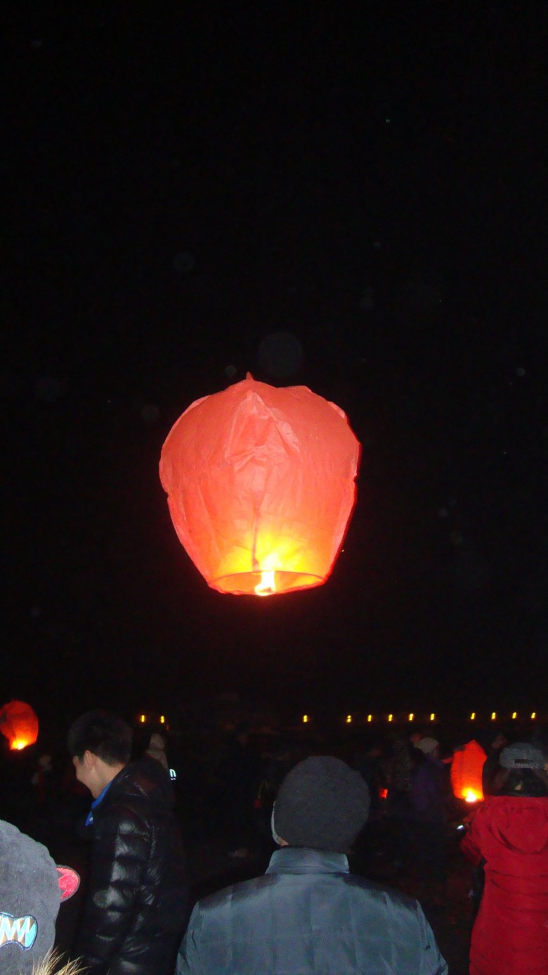 DSC04299_conew1.jpg