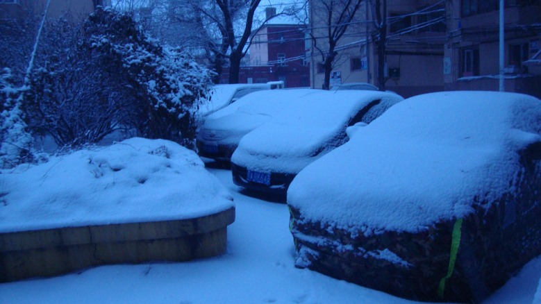DSC04451_conew1.jpg