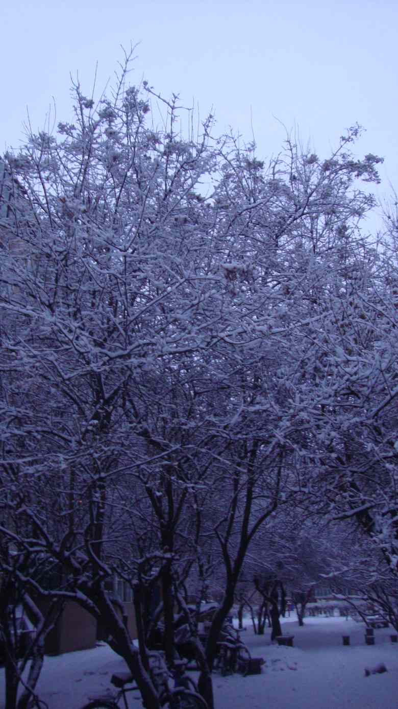 DSC04463_conew1.jpg