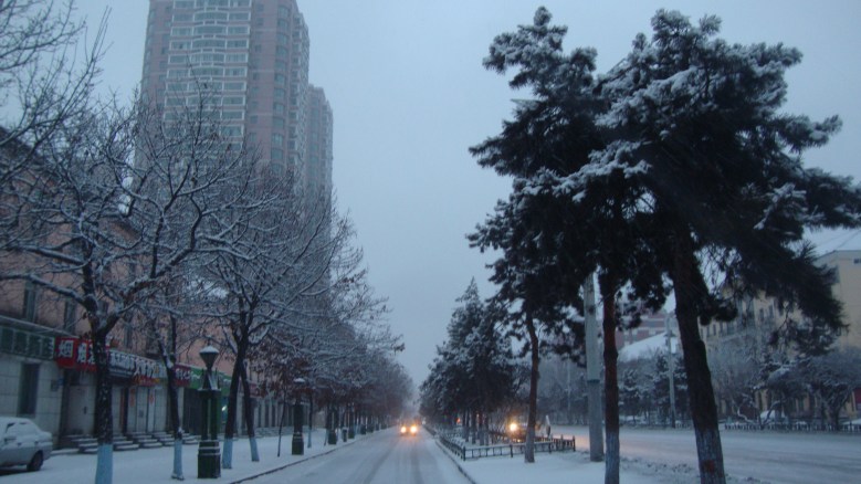 DSC04464_conew1.jpg