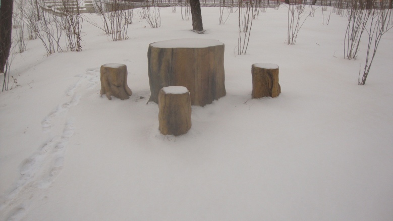 DSC04532_conew1.jpg
