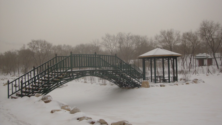 DSC04537_conew1.jpg
