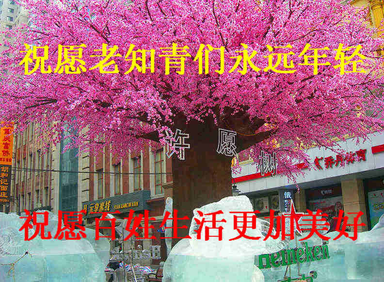 DSCN2876-1´  ԸԸ.jpg