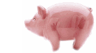 !cid_5ac209bc30a8e2a22$Coremail$jym19366.gif
