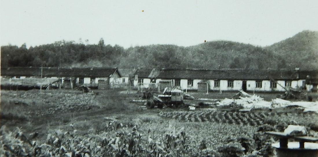 111.jpg