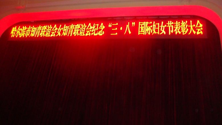 DSC04917_conew1.jpg