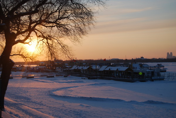 DSC_0243_СС.JPG