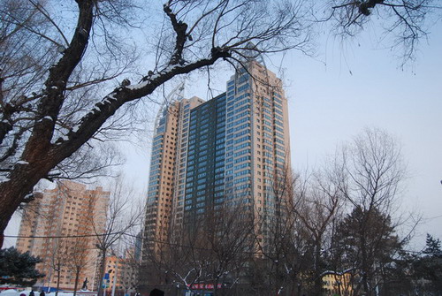 DSC_0236_СС_СС.JPG